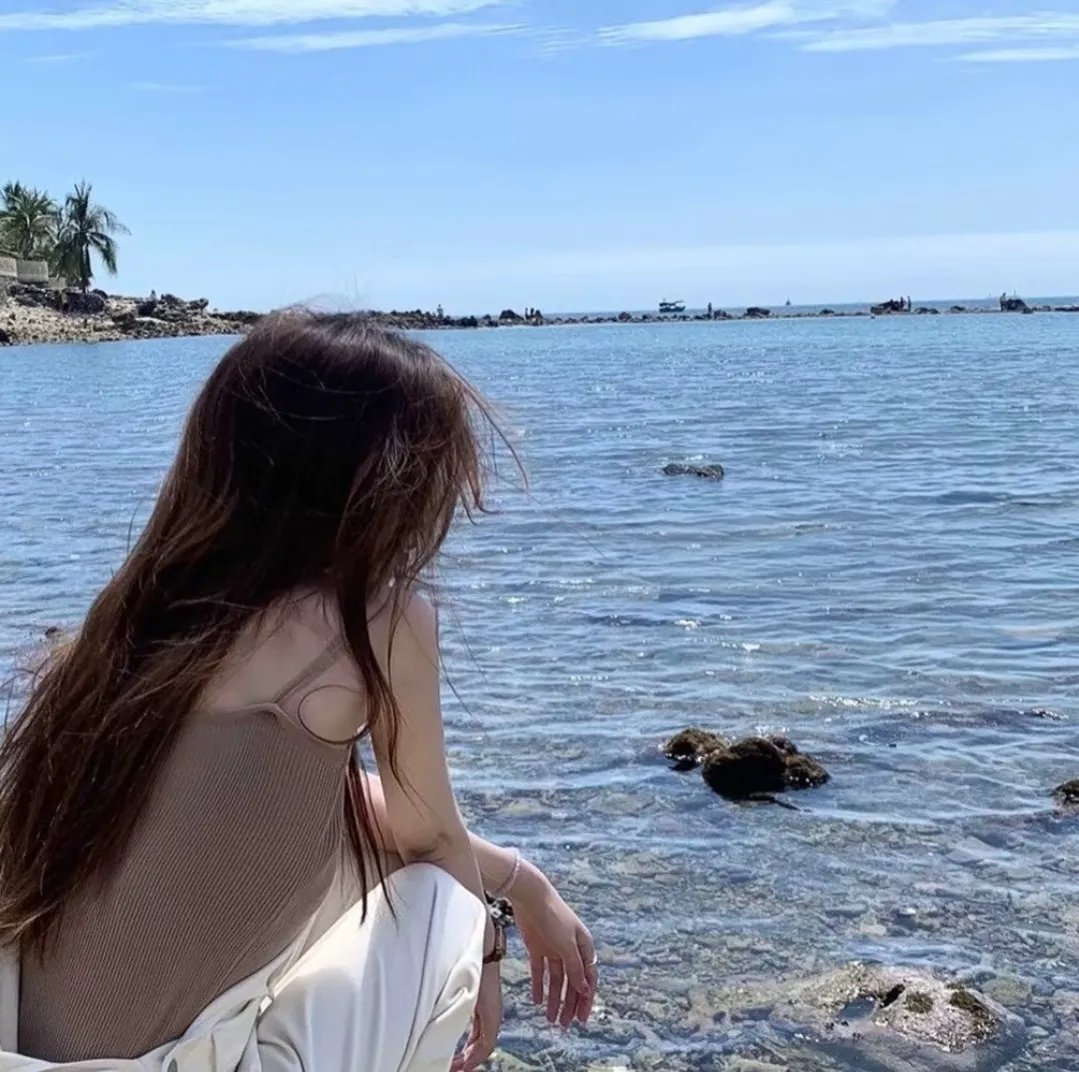 盗贼泰瑞莎